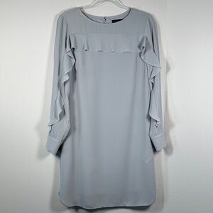 Banana Republic Chiffon Ruffle Dress Women’s 4 Light Gray Long Sleeve Shift